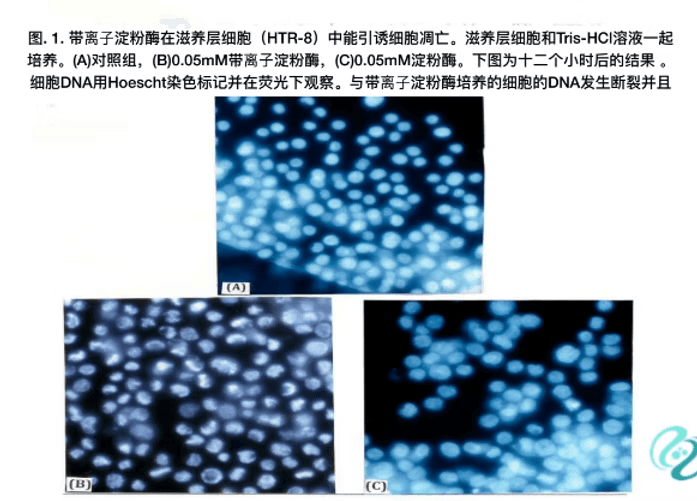 Anti-Cancer Amylase Technology Patent Document