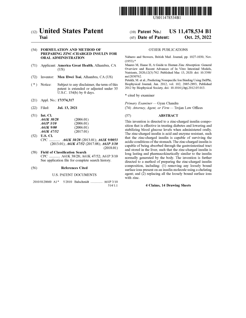 Oral Insulin Delivery System Patent Document